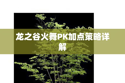 龙之谷火舞PK加点策略详解图片