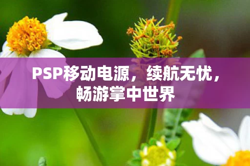 PSP移动电源图片