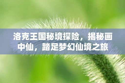 洛克王国秘境探险图片