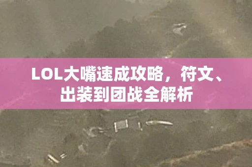 LOL大嘴速成攻略图片