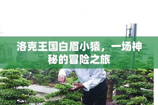 一场神秘的冒险之旅图片