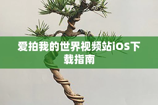 爱拍我的世界视频站iOS下载指南图片