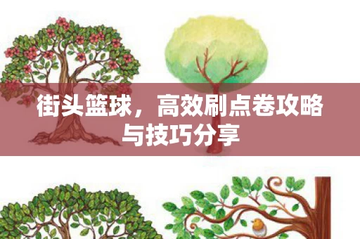 高效刷点卷攻略与技巧分享图片