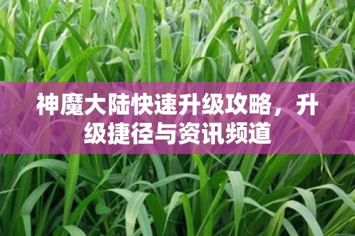 神魔大陆快速升级攻略图片