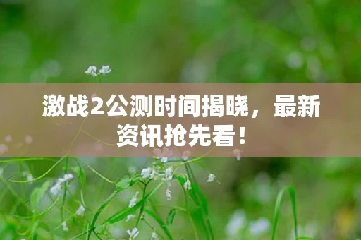 激战2公测时间揭晓图片