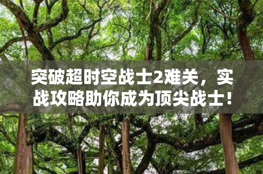 实战攻略助你成为顶尖战士图片