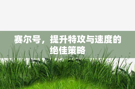 提升特攻与速度的绝佳策略图片