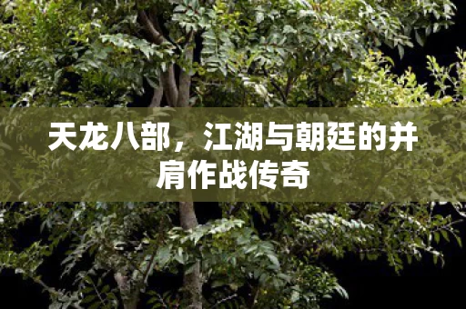 江湖与朝廷的并肩作战传奇图片