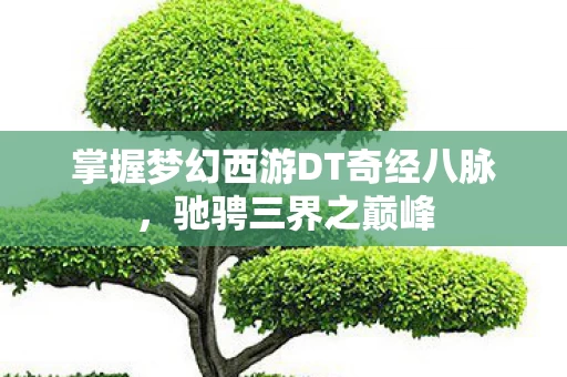 掌握梦幻西游DT奇经八脉图片