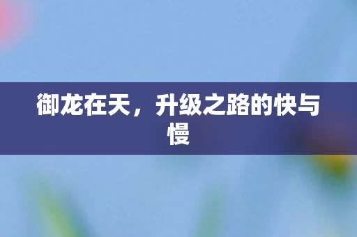 升级之路的快与慢图片