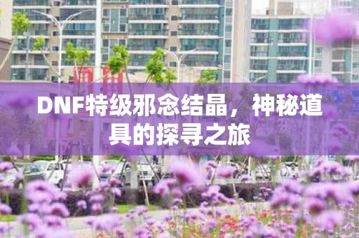 DNF特级邪念结晶图片