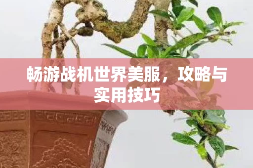 畅游战机世界美服图片