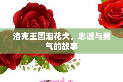 忠诚与勇气的故事图片