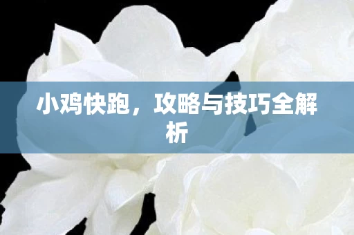攻略与技巧全解析图片