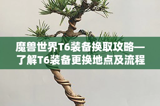 了解T6装备更换地点及流程图片