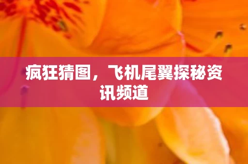 飞机尾翼探秘资讯频道图片