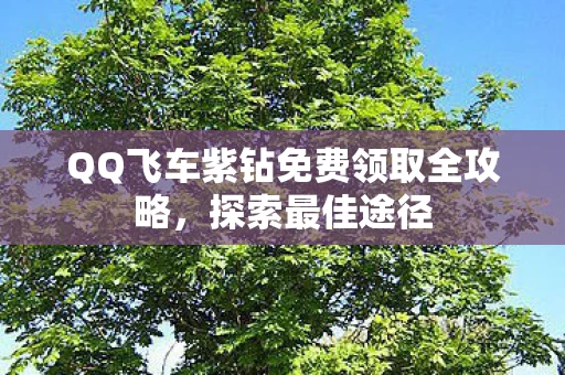 QQ飞车紫钻免费领取全攻略图片