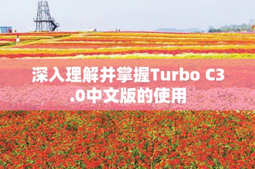 深入理解并掌握Turbo C3图片