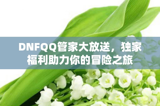 独家福利助力你的冒险之旅图片