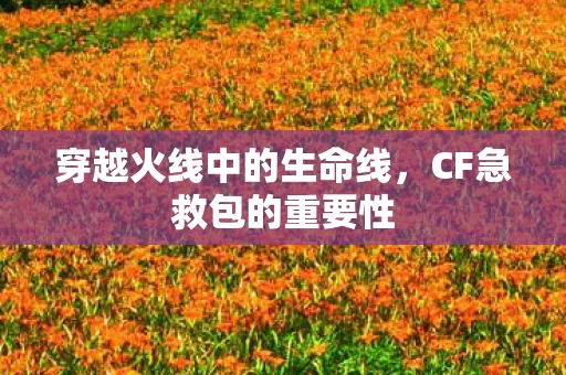 穿越火线中的生命线图片