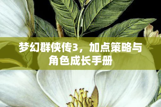 加点策略与角色成长手册图片