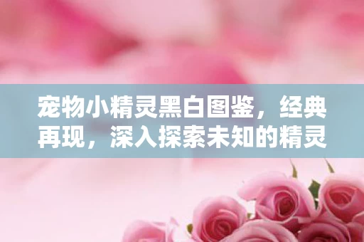 深入探索未知的精灵世界图片