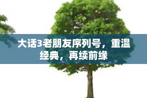 大话3老朋友序列号图片