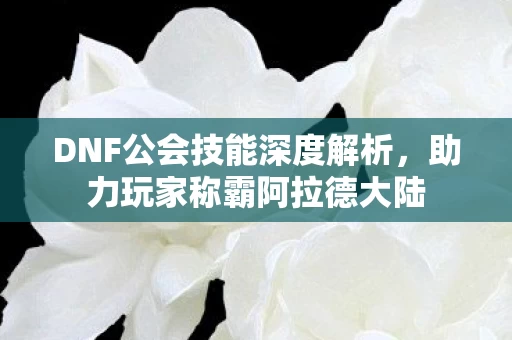DNF公会技能深度解析图片