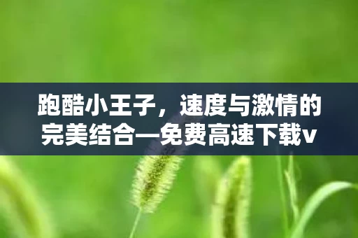 速度与激情的完美结合图片