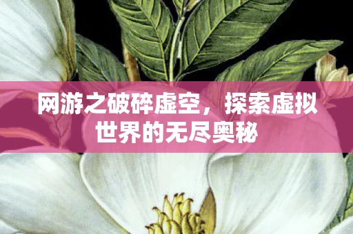 探索虚拟世界的无尽奥秘图片