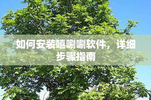 如何安装嘻唰唰软件图片