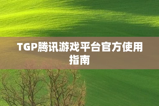 TGP腾讯游戏平台官方使用指南图片
