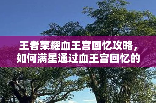 如何满星通过血王宫回忆的挑战图片