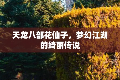 梦幻江湖的绮丽传说图片