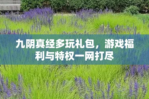 游戏福利与特权一网打尽图片