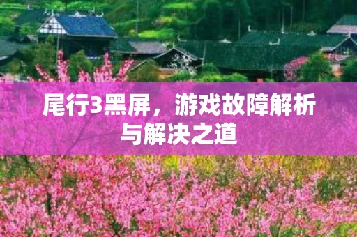 游戏故障解析与解决之道图片