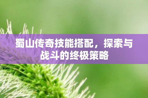 探索与战斗的终极策略图片