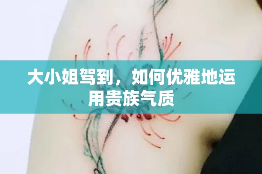 如何优雅地运用贵族气质图片