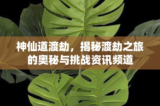 揭秘渡劫之旅的奥秘与挑战资讯频道图片