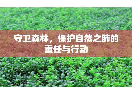 保护自然之肺的重任与行动图片