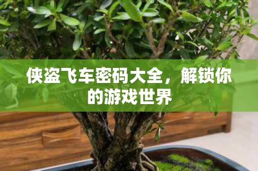 侠盗飞车密码大全图片