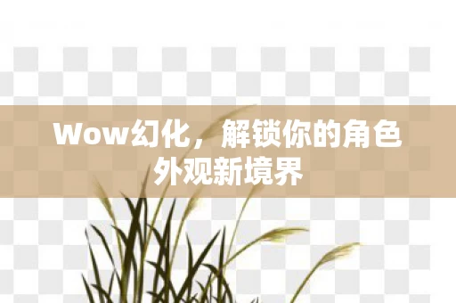 解锁你的角色外观新境界图片