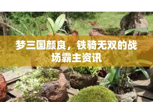 铁骑无双的战场霸主资讯图片