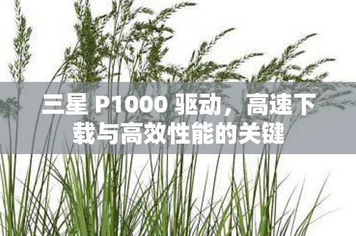 高速下载与高效性能的关键图片