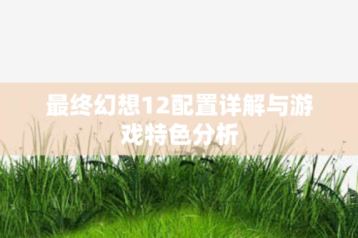最终幻想12配置详解与游戏特色分析图片