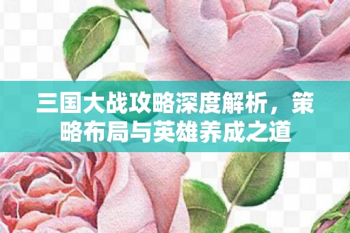 策略布局与英雄养成之道图片