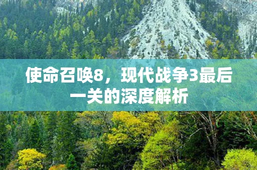 现代战争3最后一关的深度解析图片