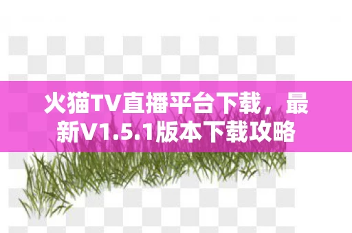 火猫TV直播平台下载图片