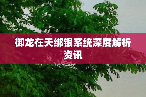 御龙在天绑银系统深度解析资讯图片