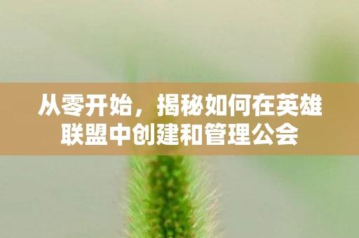 揭秘如何在英雄联盟中创建和管理公会图片